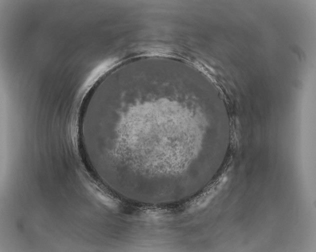 X0000112890199200908211501