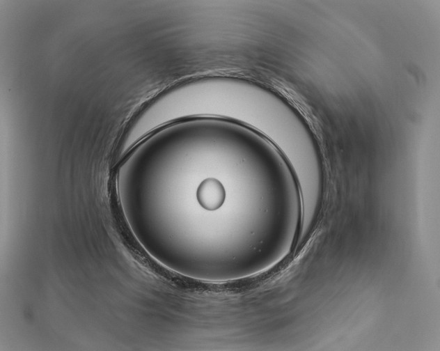 X0000112890201200908211501