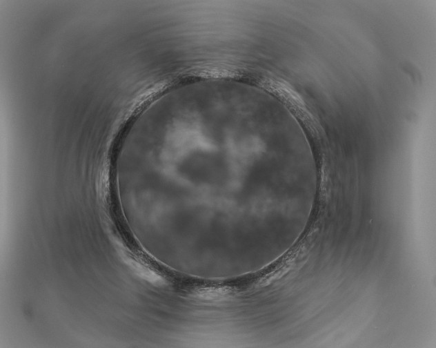 X0000112890202200908211501