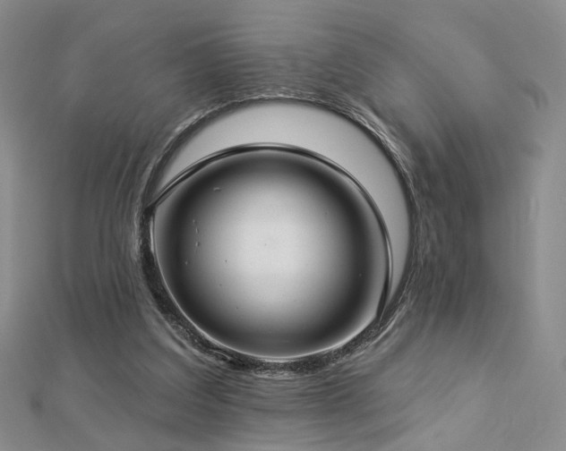 X0000112890203200908211501