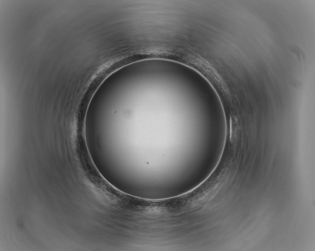 X0000112890204200908211501
