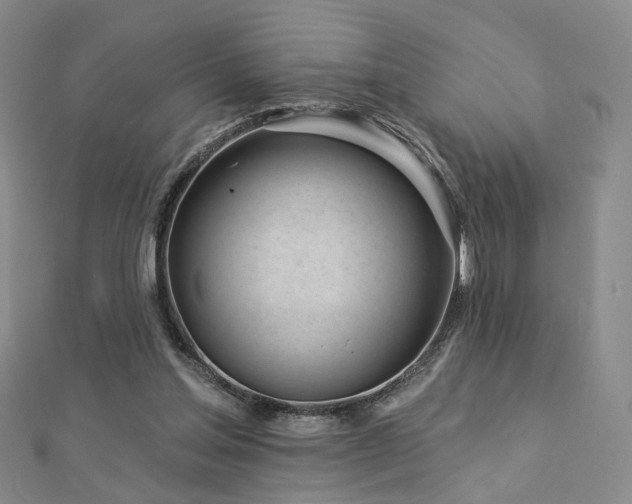 X0000112890205200908211501