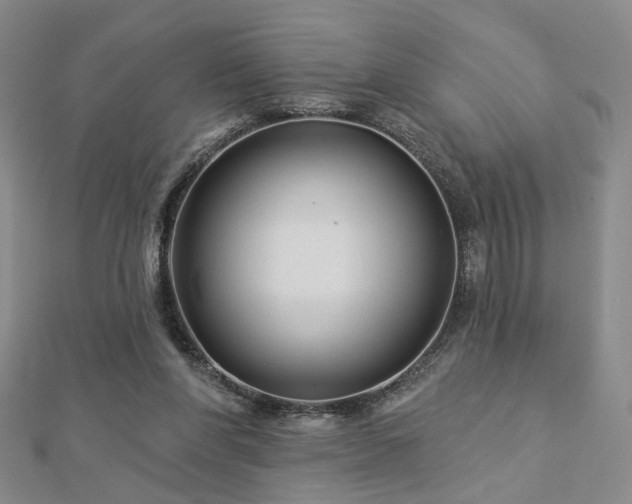 X0000112890206200908211501