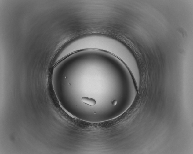 X0000112890207200908211501
