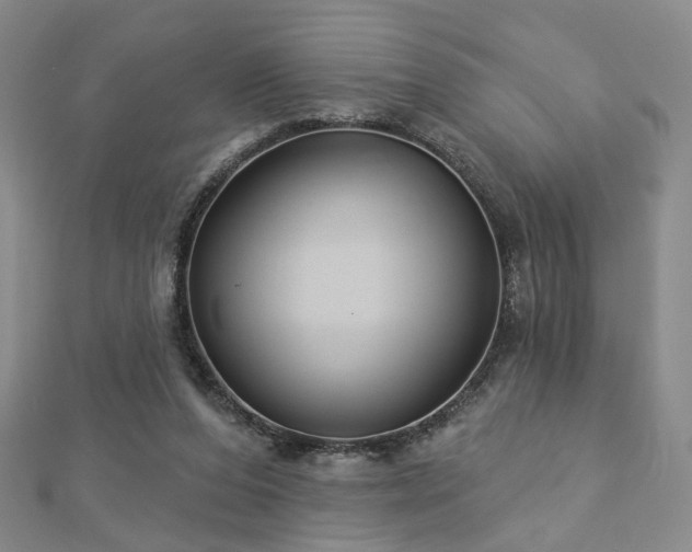 X0000112890208200908211501