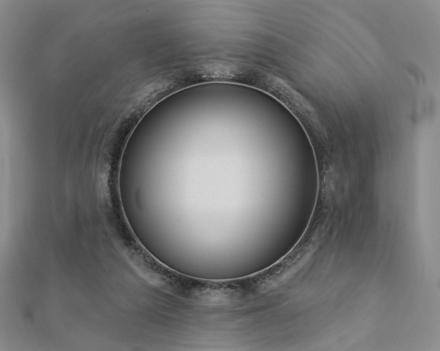 X0000112890209200908211501