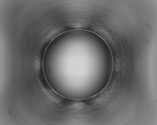 X0000112890210200908211501