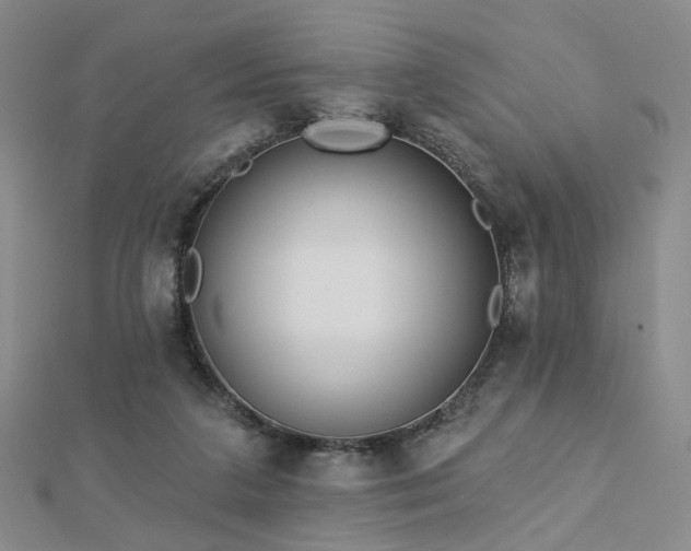 X0000112890211200908211501