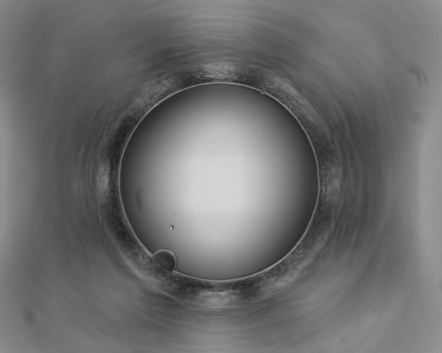 X0000112890213200908211501