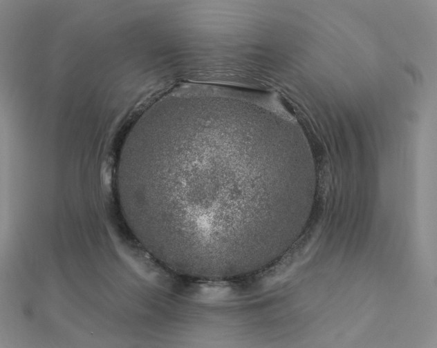 X0000112890214200908211501