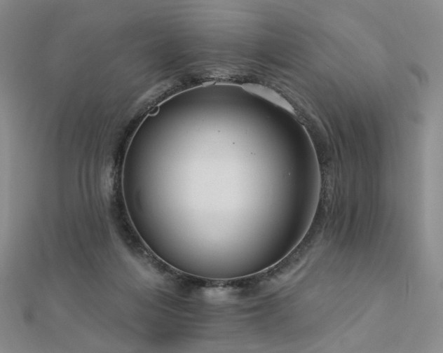 X0000112890216200908211501