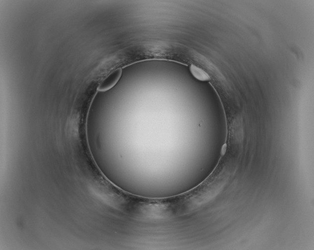 X0000112890217200908211501
