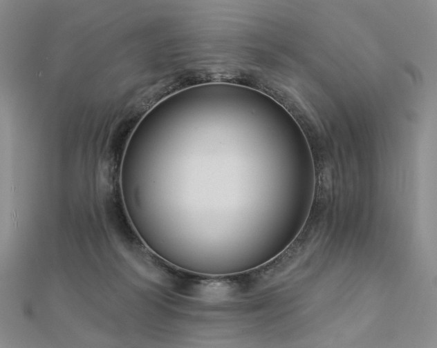 X0000112890218200908211501