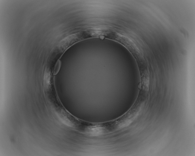 X0000112890219200908211501