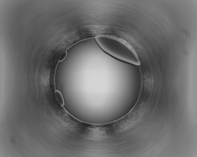 X0000112890221200908211501