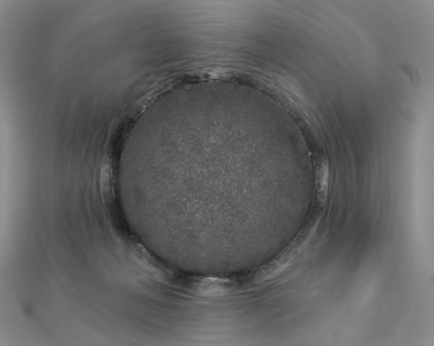 X0000112890222200908211501