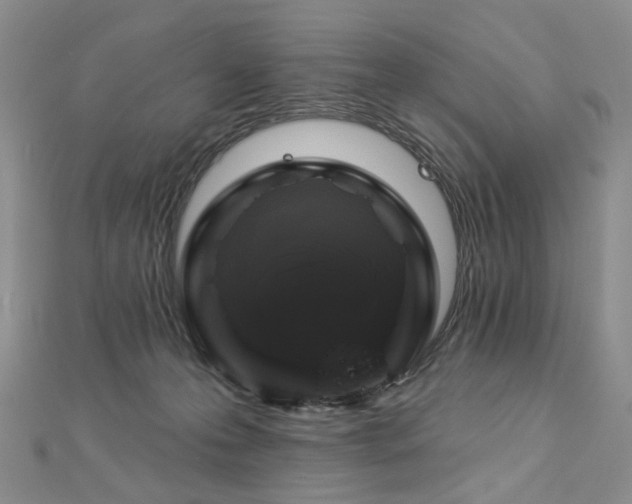 X0000112890223200908211501