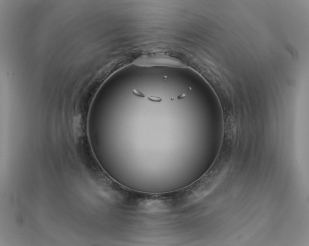 X0000112890224200908211501