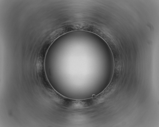 X0000112890226200908211501