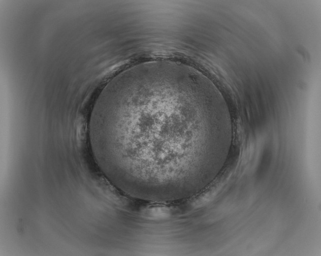 X0000112890228200908211501
