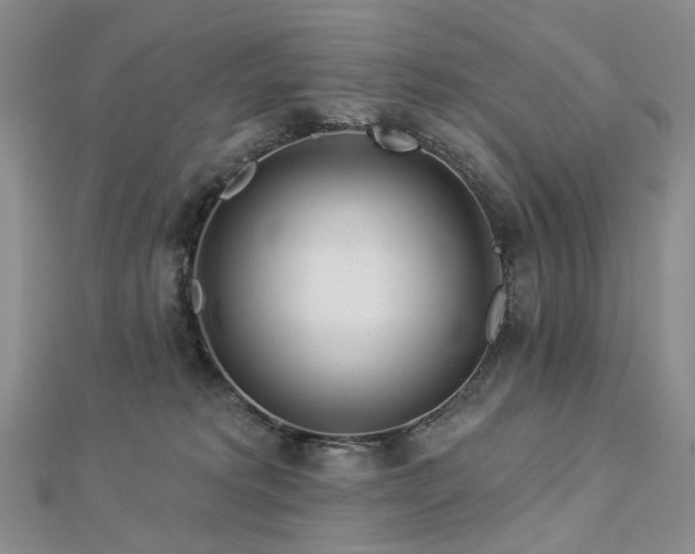 X0000112890229200908211501