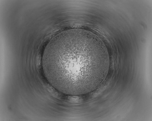 X0000112890230200908211500