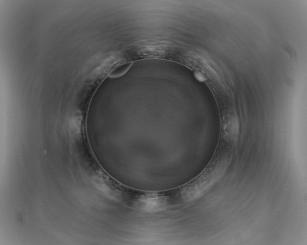 X0000112890231200908211500