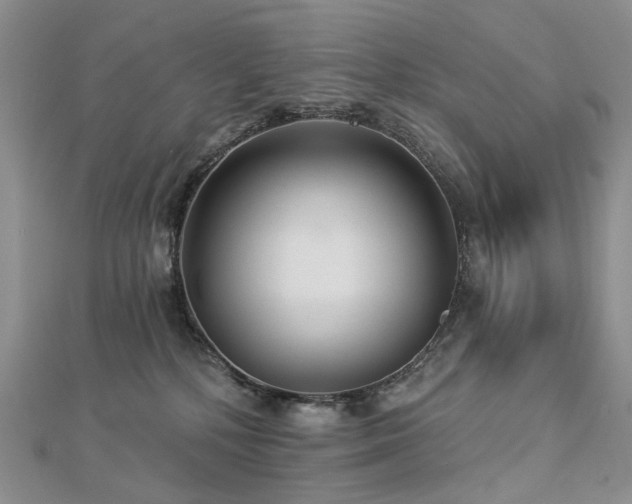 X0000112890232200908211500