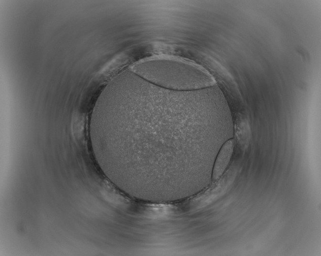 X0000112890233200908211500