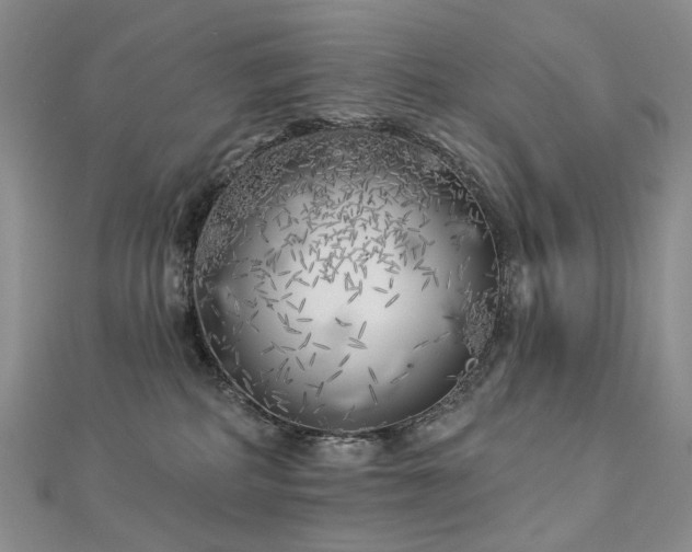 X0000112890234200908211500
