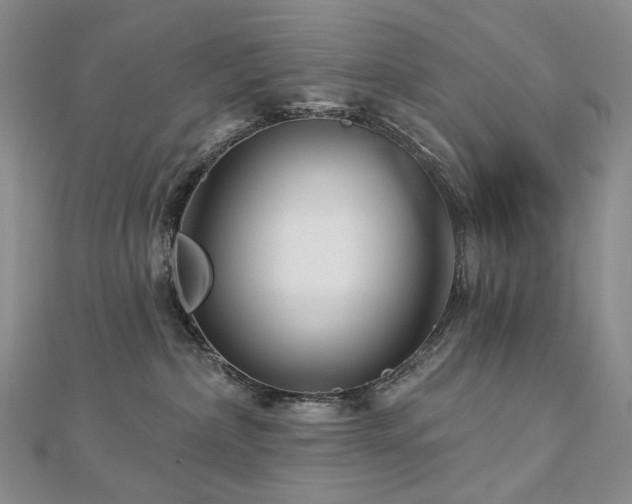 X0000112890236200908211500
