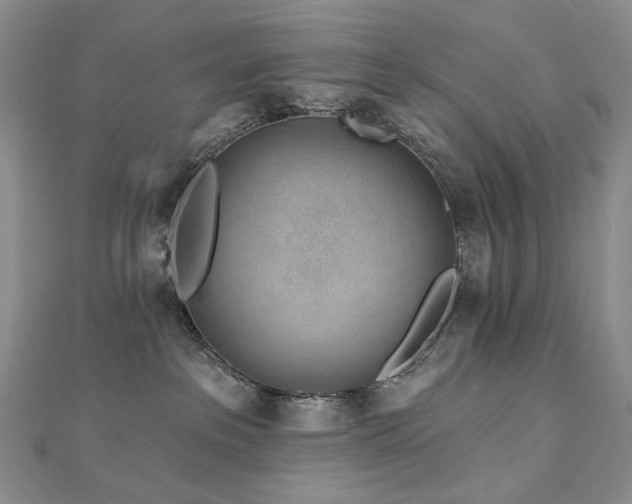 X0000112890237200908211500