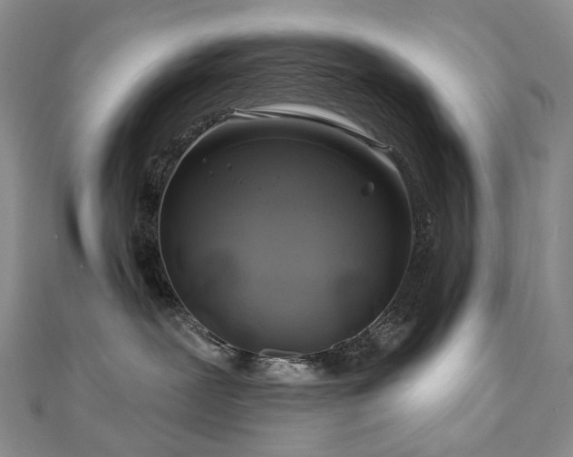 X0000112890239200908211500