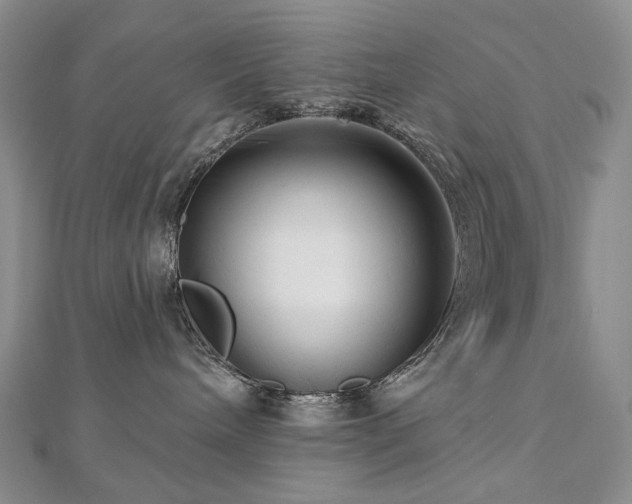 X0000112890240200908211500