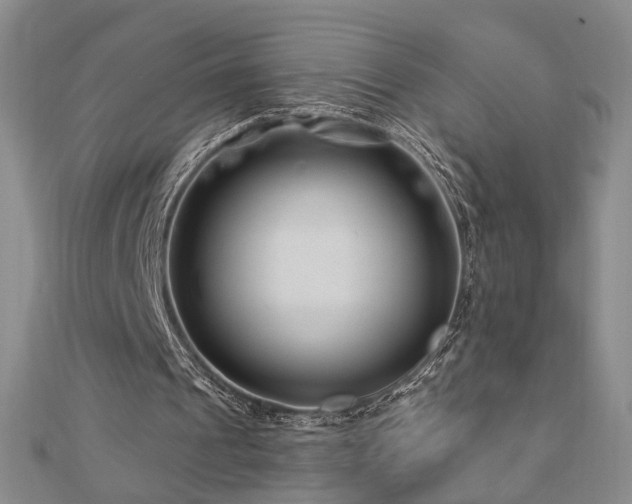 X0000112890241200908211500