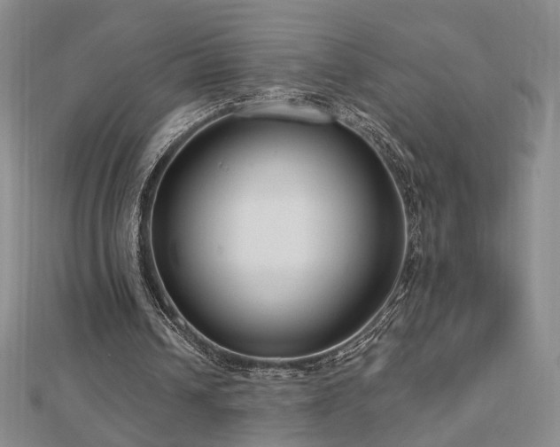 X0000112890242200908211500