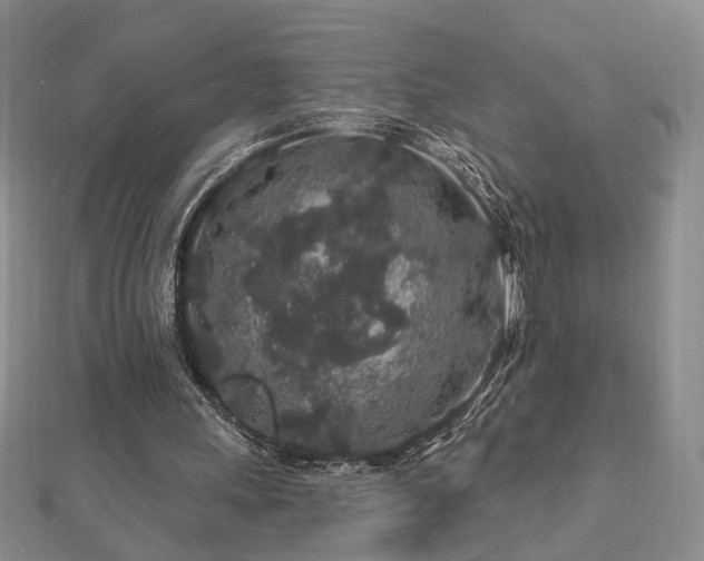 X0000112890243200908211500