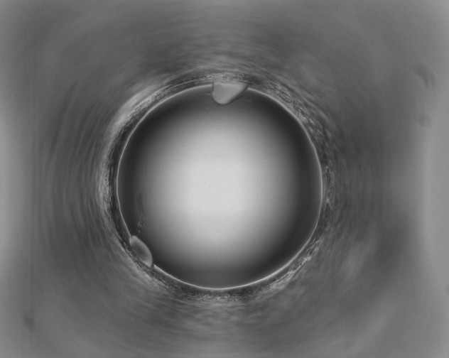 X0000112890245200908211500
