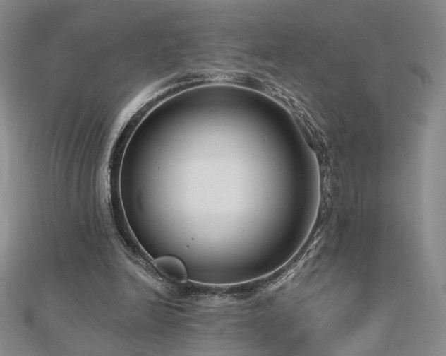 X0000112890246200908211500
