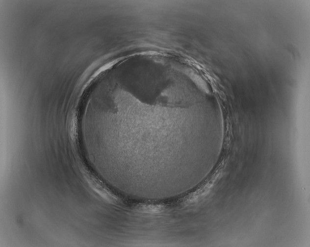 X0000112890247200908211500