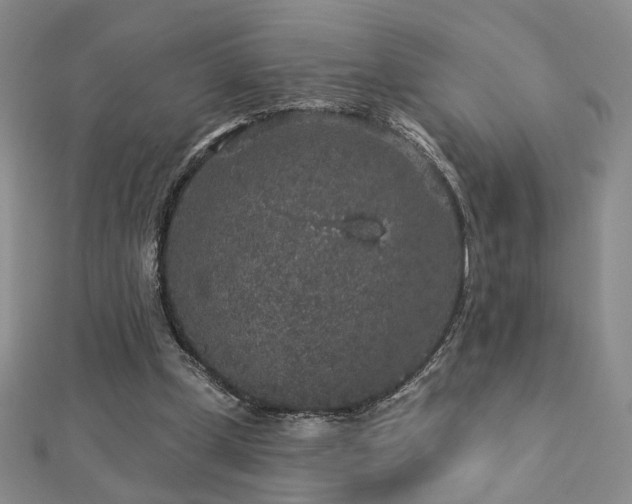 X0000112890249200908211500