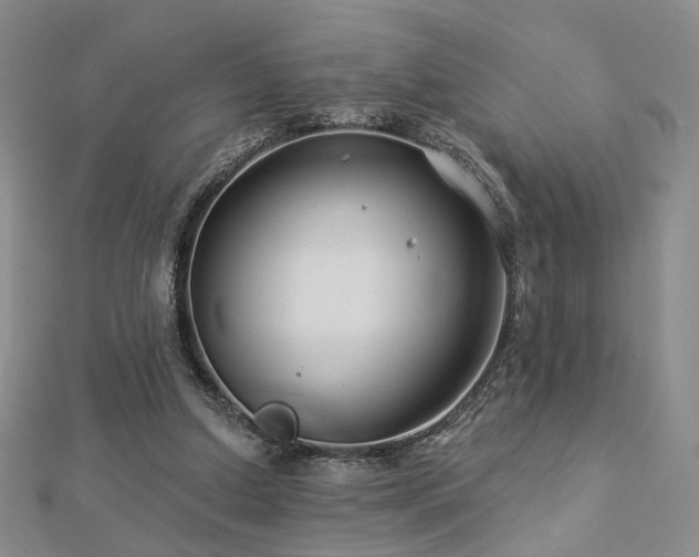 X0000112890250200908211500