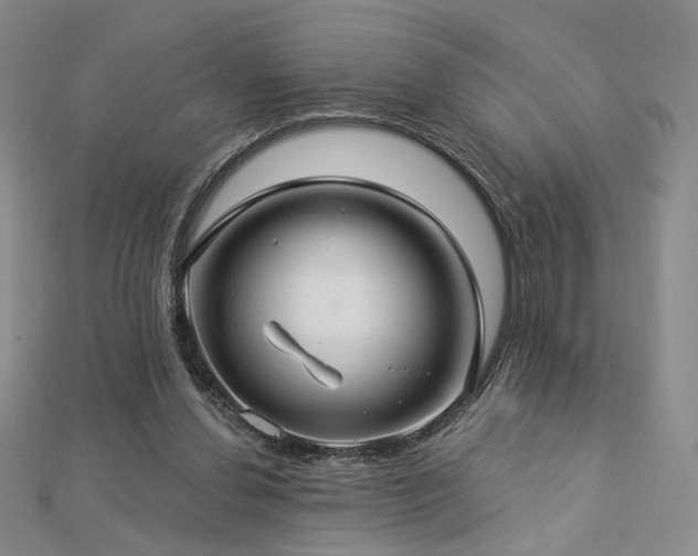 X0000112890252200908211500