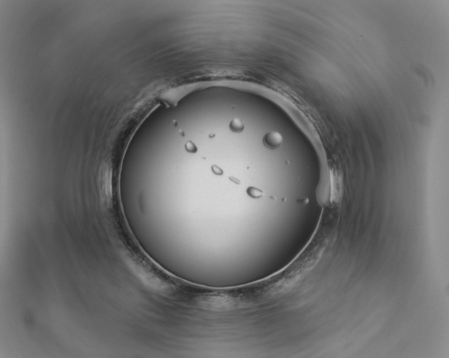 X0000112890253200908211500