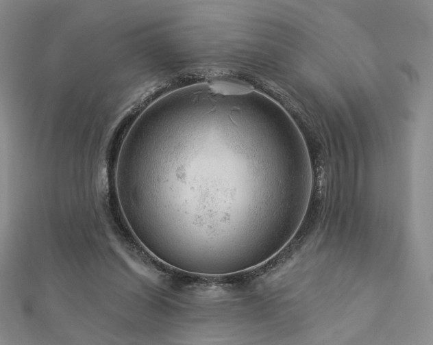X0000112890254200908211500