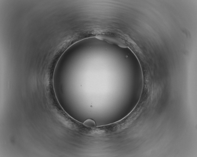 X0000112890257200908211500