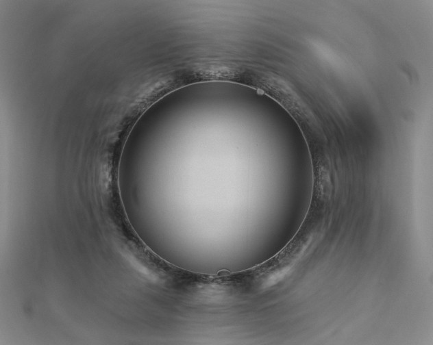 X0000112890259200908211500