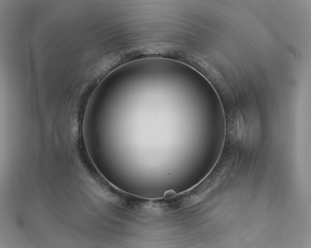 X0000112890261200908211500