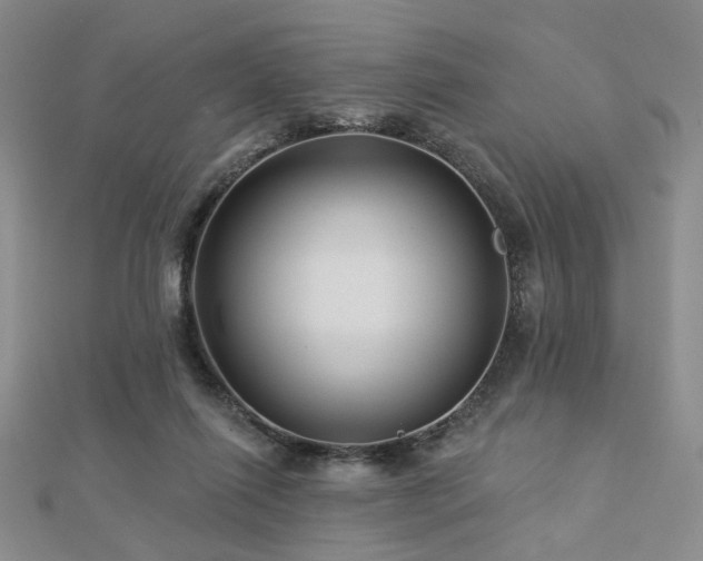 X0000112890262200908211500