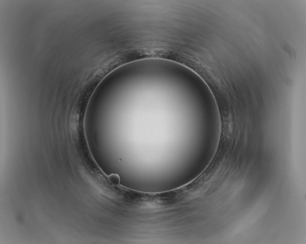 X0000112890263200908211500